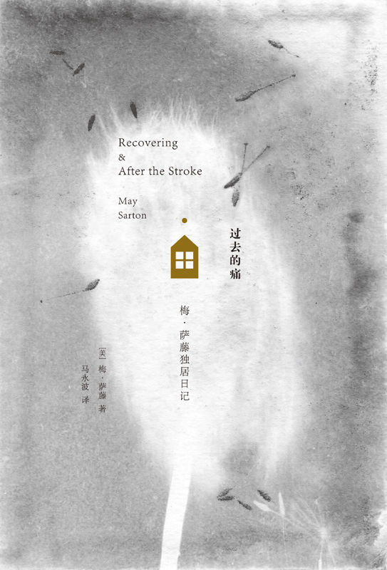 过去的痛